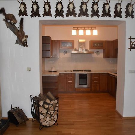 Lovecky Apartman Na Namesti Ve Frenstate Pod Radhostem Френштат-под-Радгоштем Экстерьер фото
