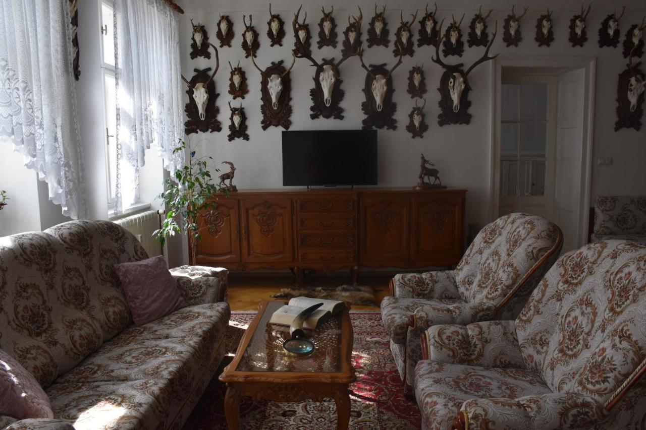 Lovecky Apartman Na Namesti Ve Frenstate Pod Radhostem Френштат-под-Радгоштем Экстерьер фото
